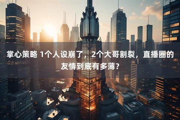 掌心策略 1个人设崩了，2个大哥割裂，直播圈的友情到底有多薄？