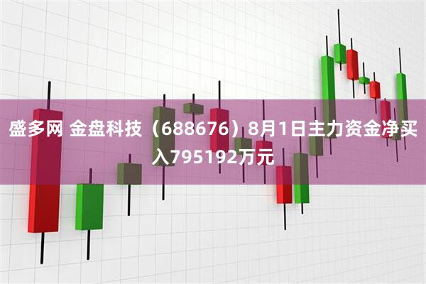 盛多网 金盘科技（688676）8月1日主力资金净买入795192万元