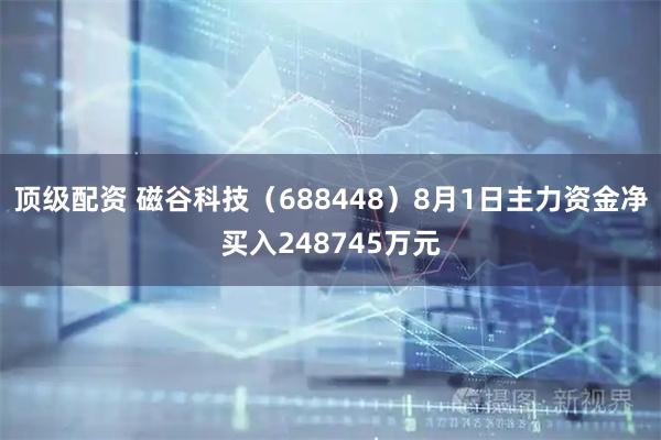 顶级配资 磁谷科技(688448)8月1日主力资金净买入248745万元