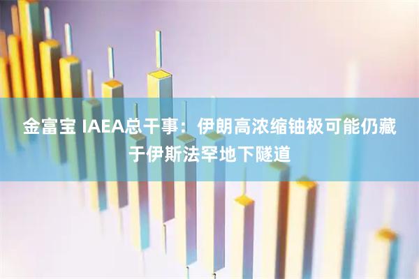 金富宝 IAEA总干事：伊朗高浓缩铀极可能仍藏于伊斯法罕地下隧道