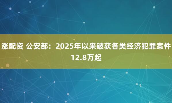 涨配资 公安部：2025年以来破获各类经济犯罪案件12.8万起