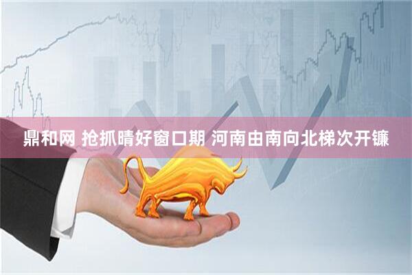 鼎和网 抢抓晴好窗口期 河南由南向北梯次开镰